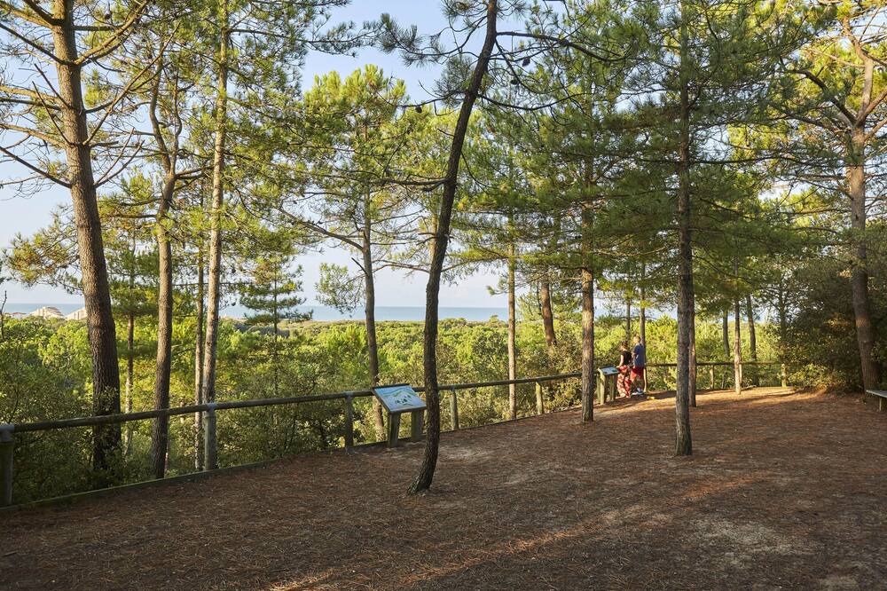 Photo of Others in Saint-Jean-de-Monts