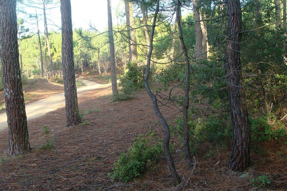 Photo of Outdoor in Saint-Jean-de-Monts
