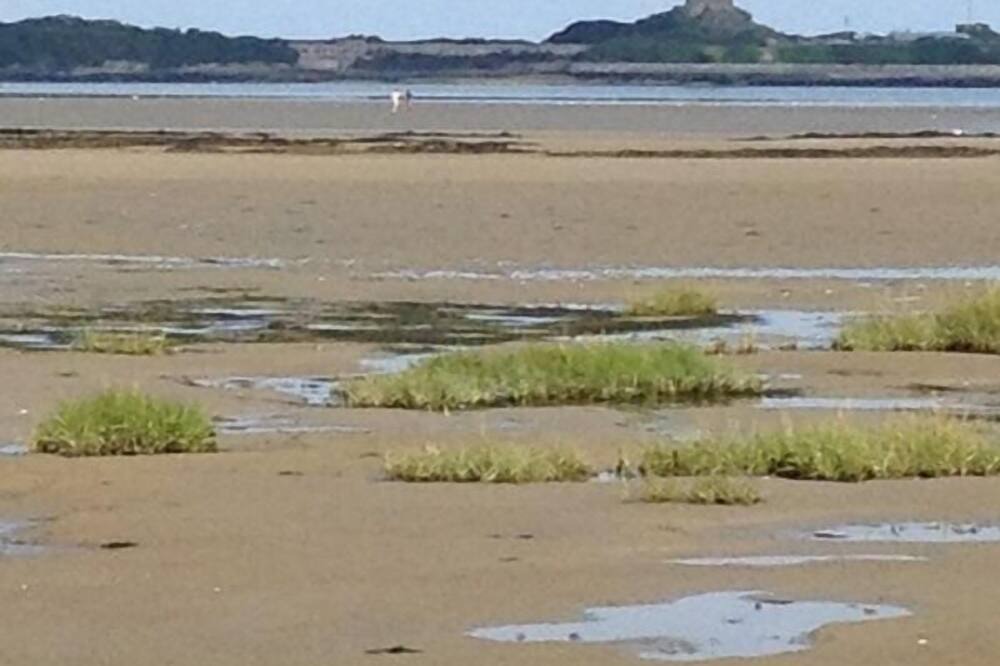 Photo of Others in Quineville