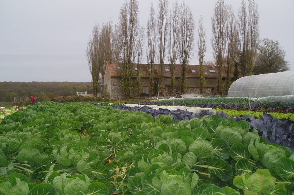 Photo of Others in Arnouville-les-Mantes