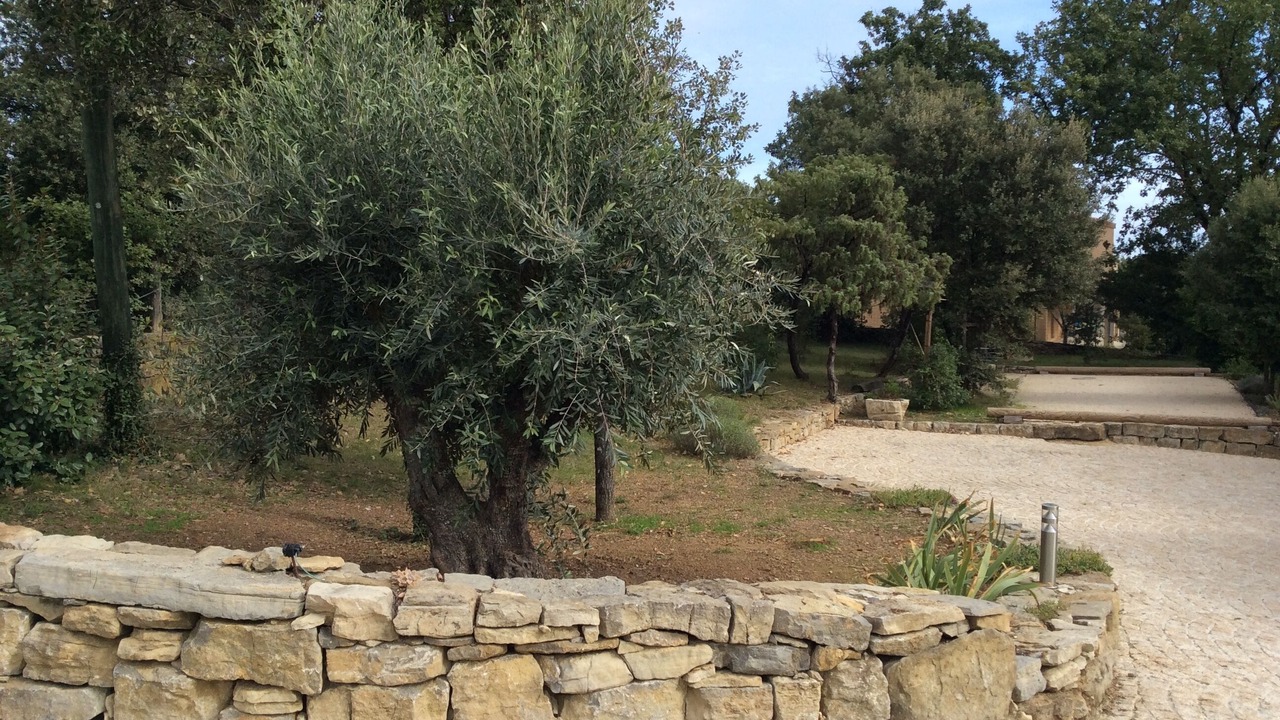 Photo of Outdoor in Payzac