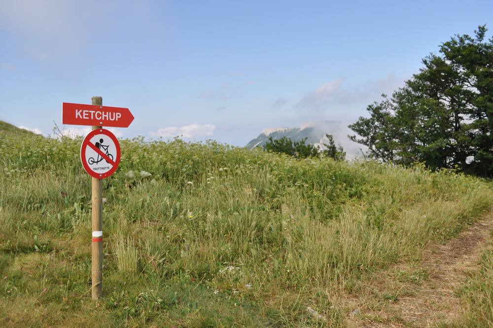 Photo of Others in Col de Rousset