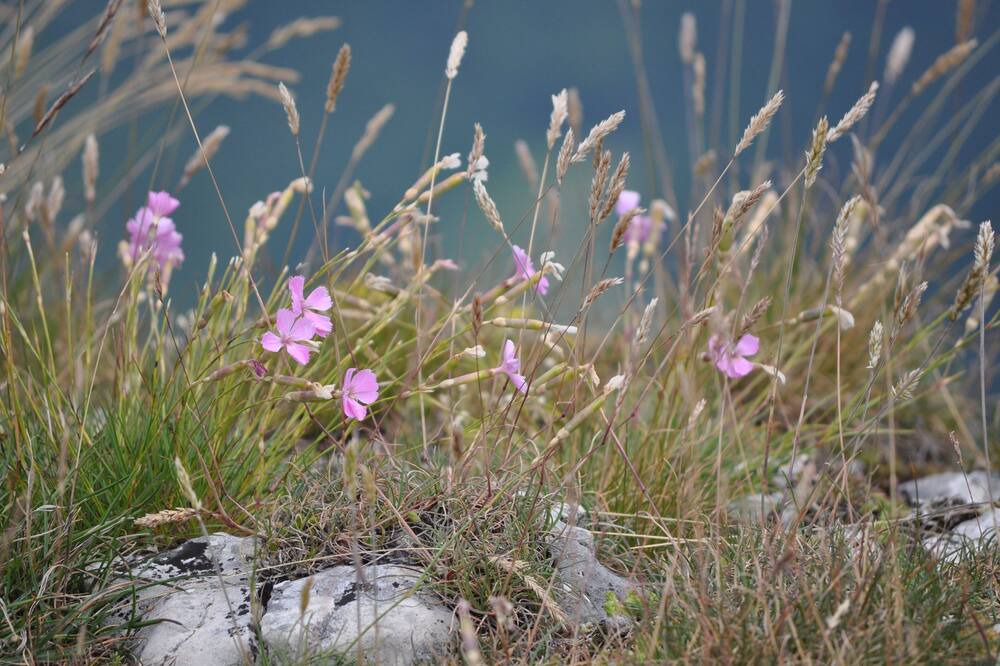 Photo of Outdoor in Col de Rousset