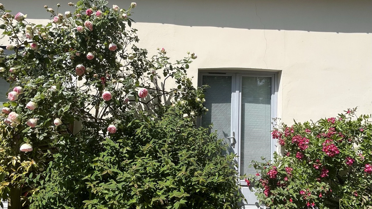 Photo of Outdoor in Saint-Servan