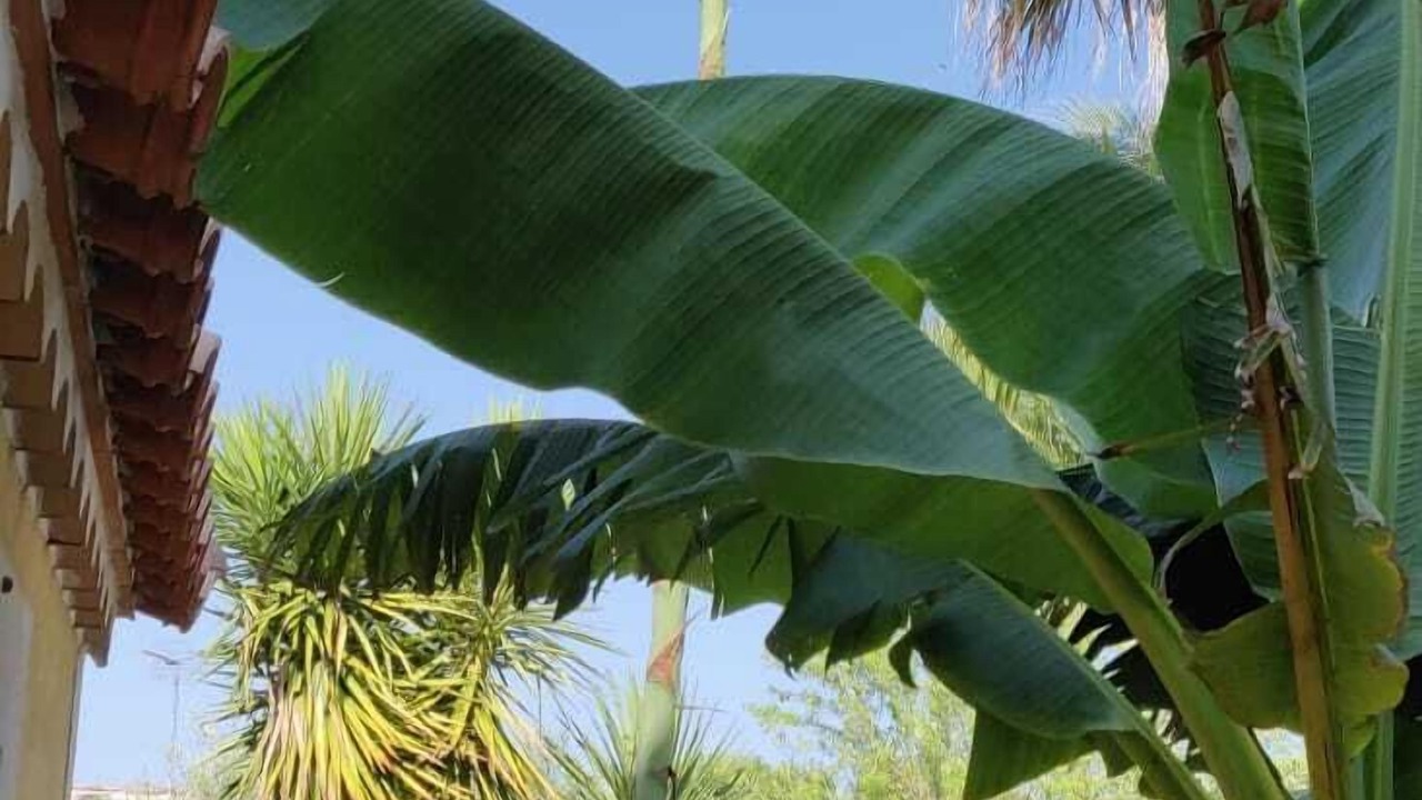 Photo of Outdoor in Saturargues