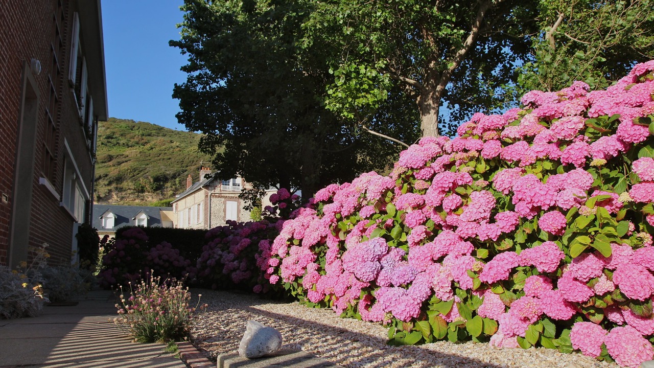 Photo of Outdoor in Saint-Martin-aux-Buneaux