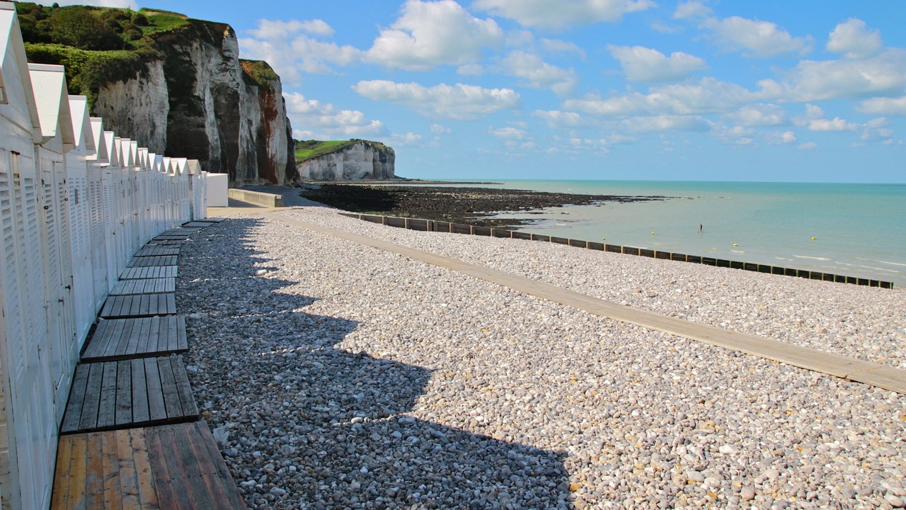 Photo of Others in Saint-Martin-aux-Buneaux