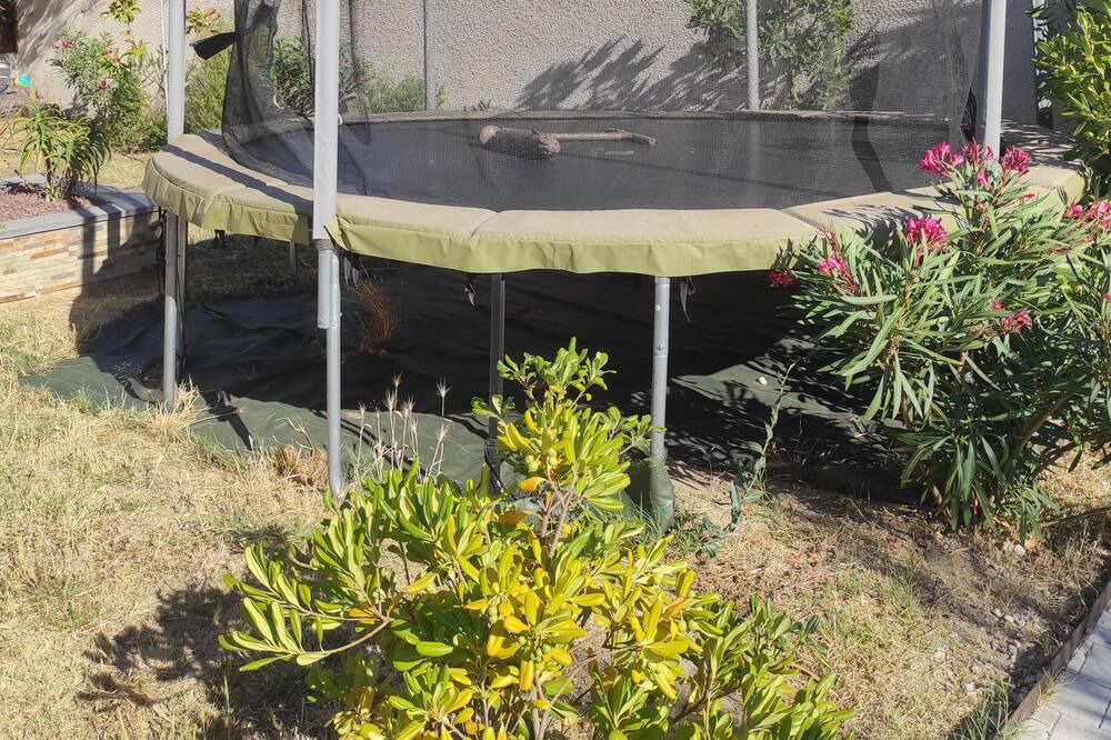 Photo of Outdoor in Cabestany