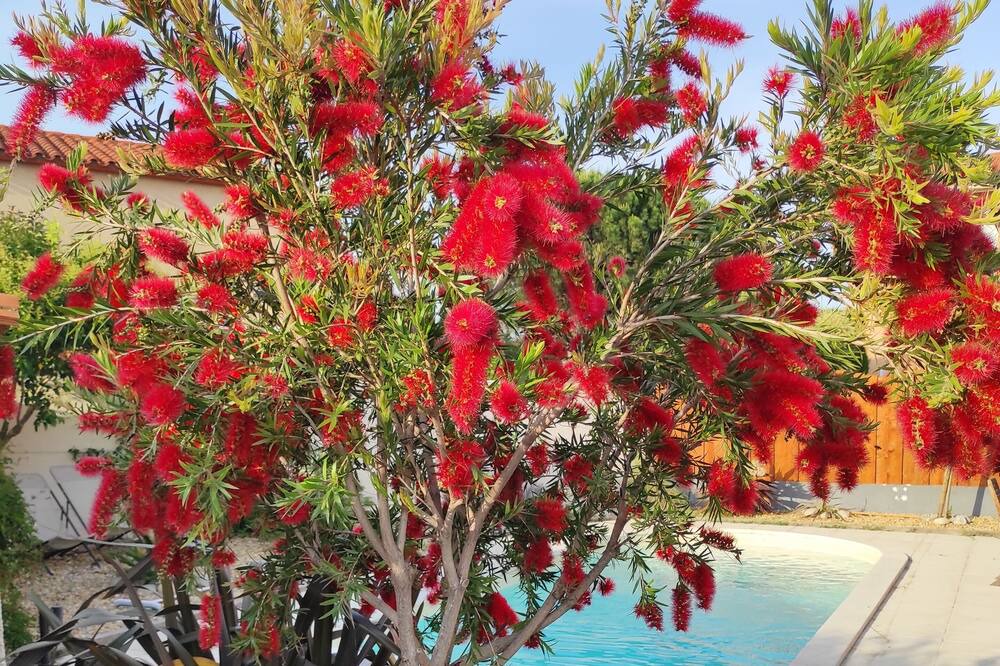 Photo of Outdoor in Cabestany