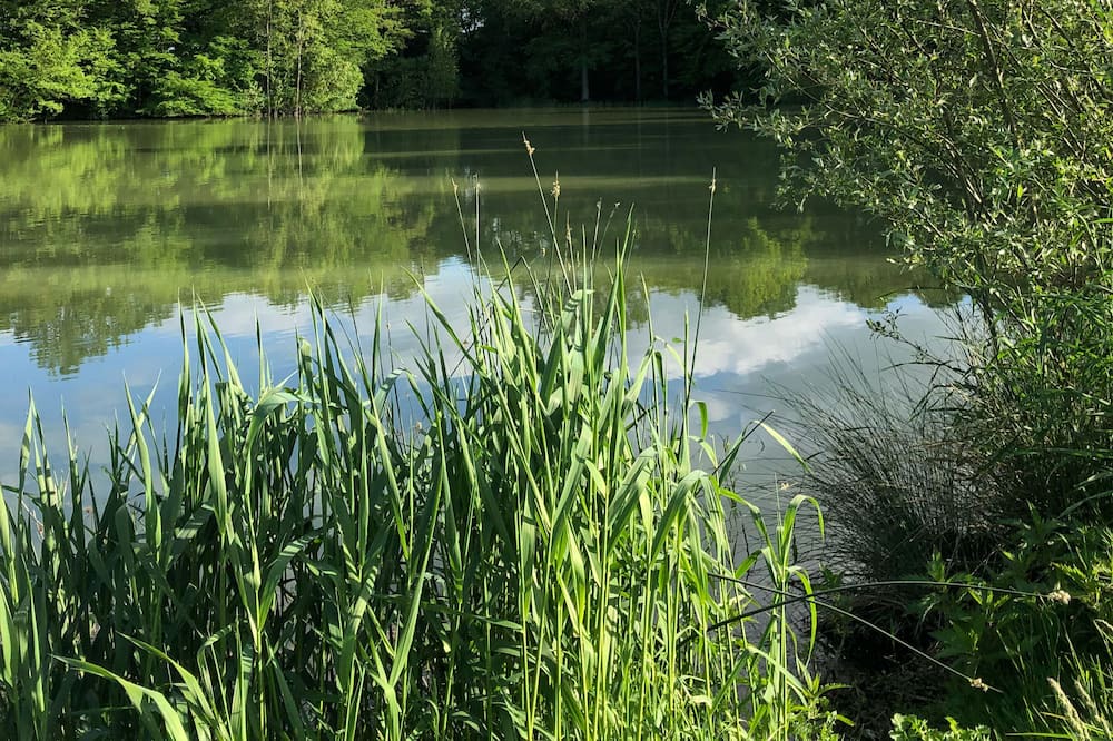 Photo of Outdoor in Trizay-les-Bonneval