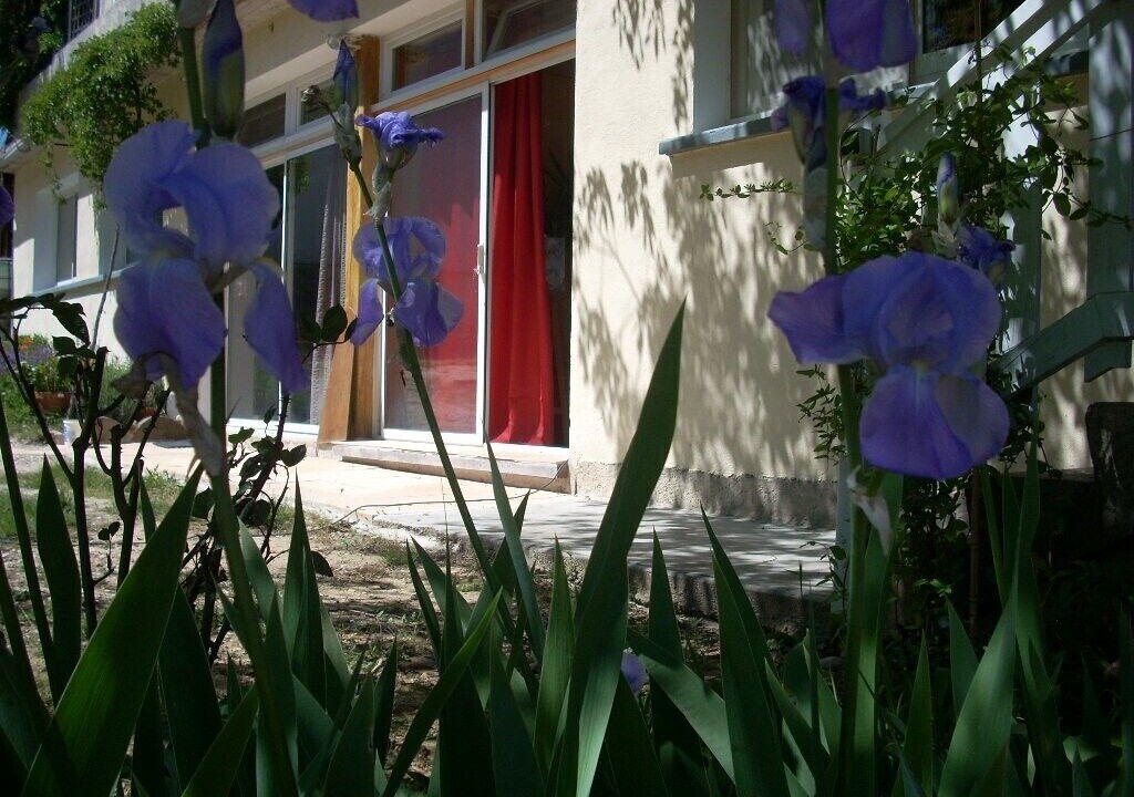 Photo of Outdoor in Goudargues