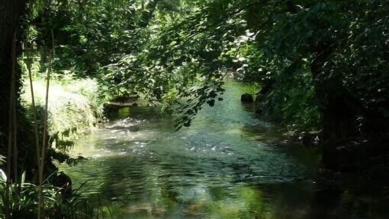 Photo of Outdoor in Migne-Auxances