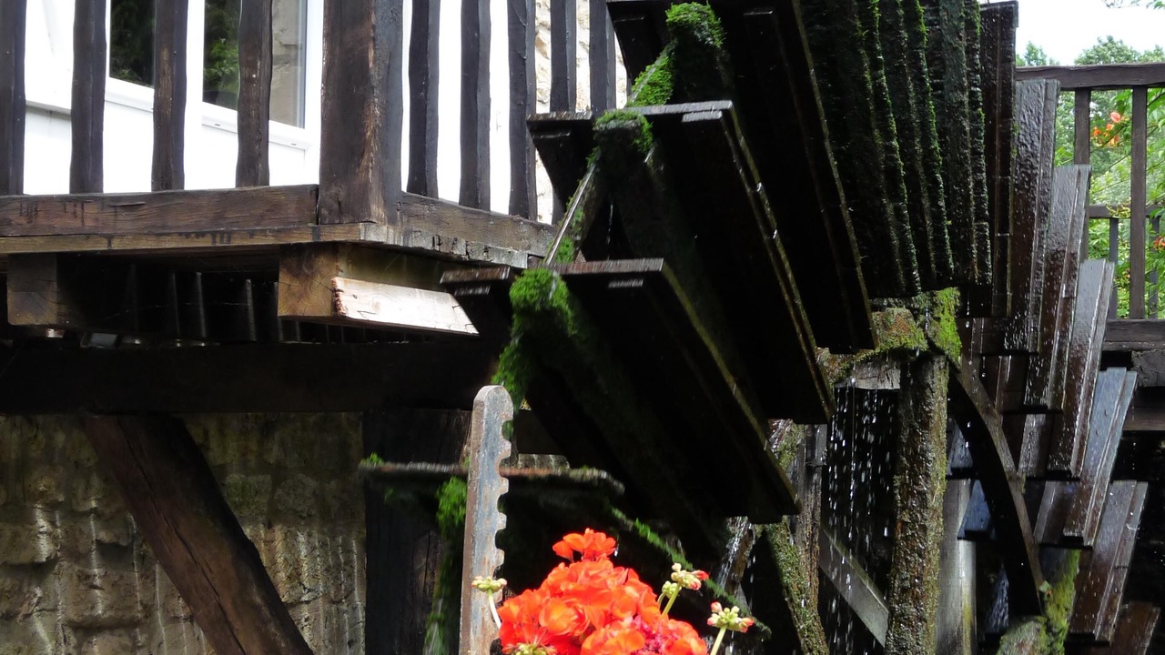 Photo of Outdoor in Migne-Auxances