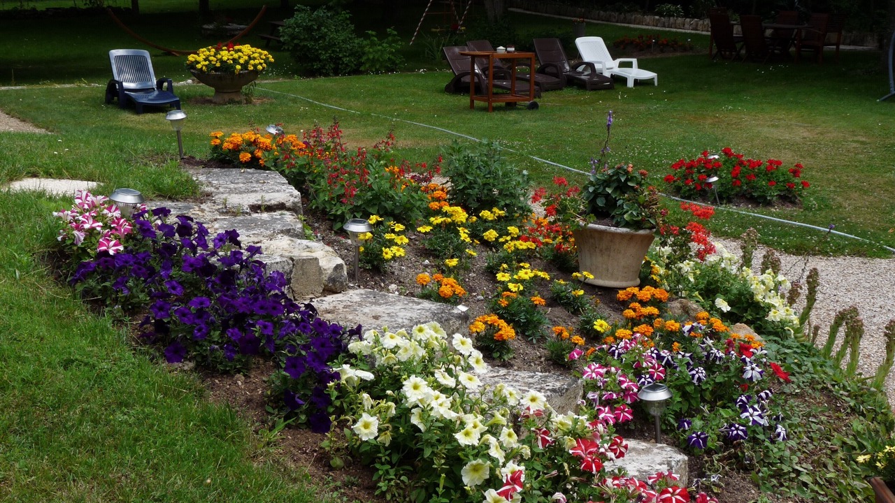 Photo of Outdoor in Migne-Auxances