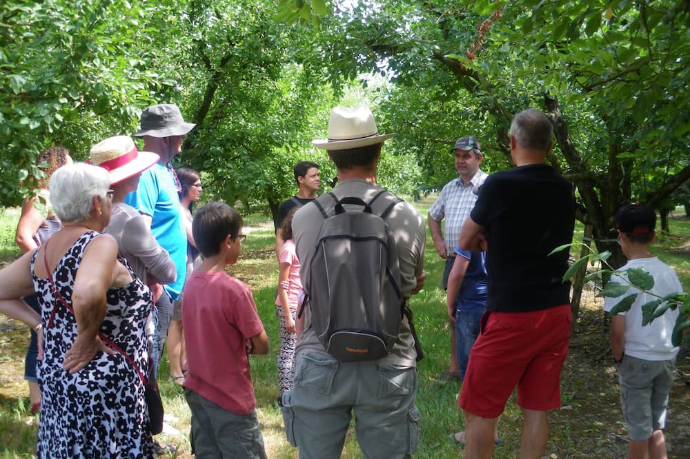 Photo of Others in Cancon