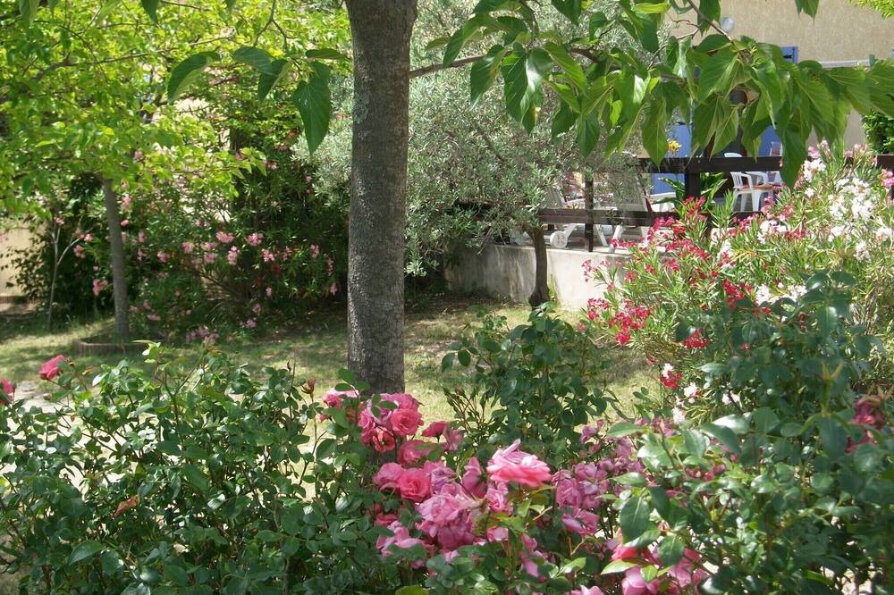 Photo of Outdoor in Domessargues