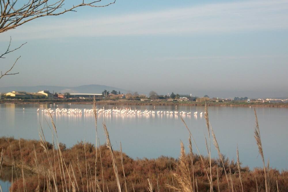 Photo of Others in Domessargues