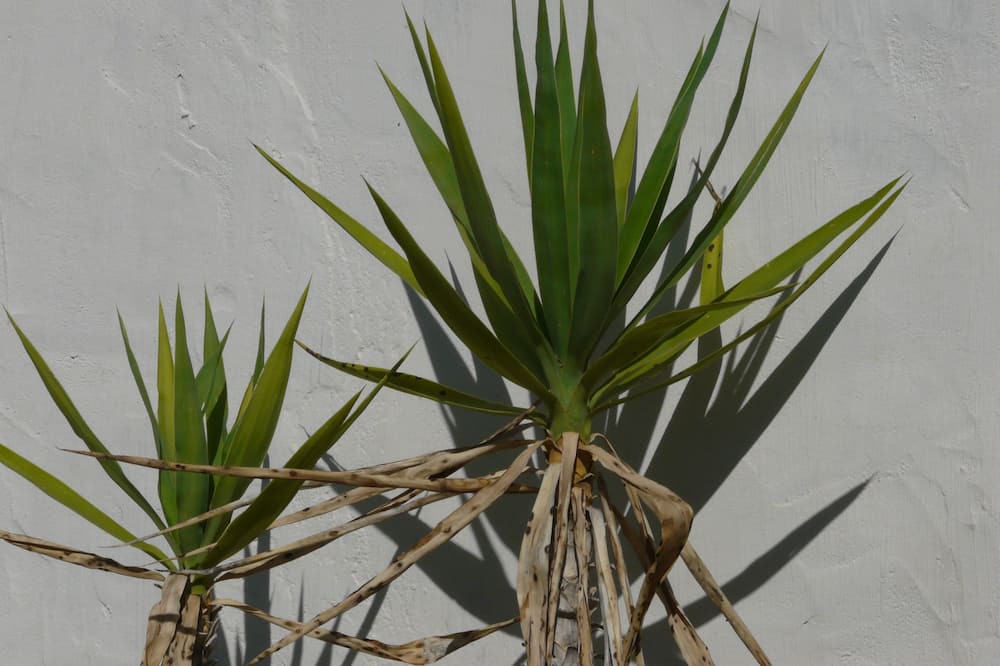 Photo of Others in Saint-Benezet