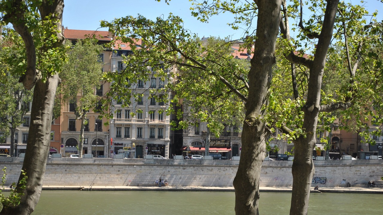 Photo of Others in Old Lyon