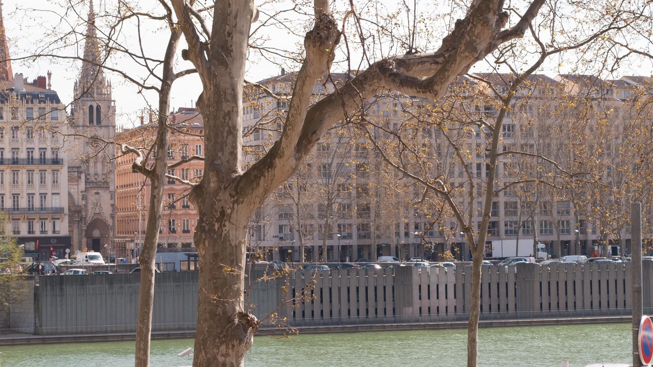 Photo of Others in Old Lyon