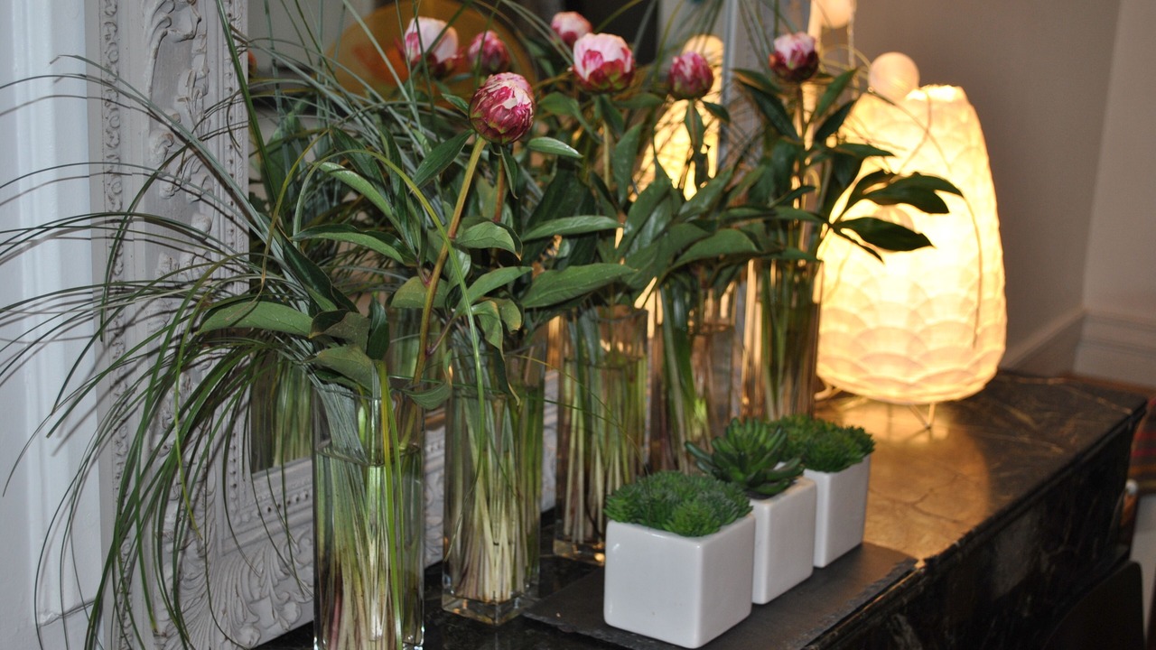 Photo of Others in Old Lyon