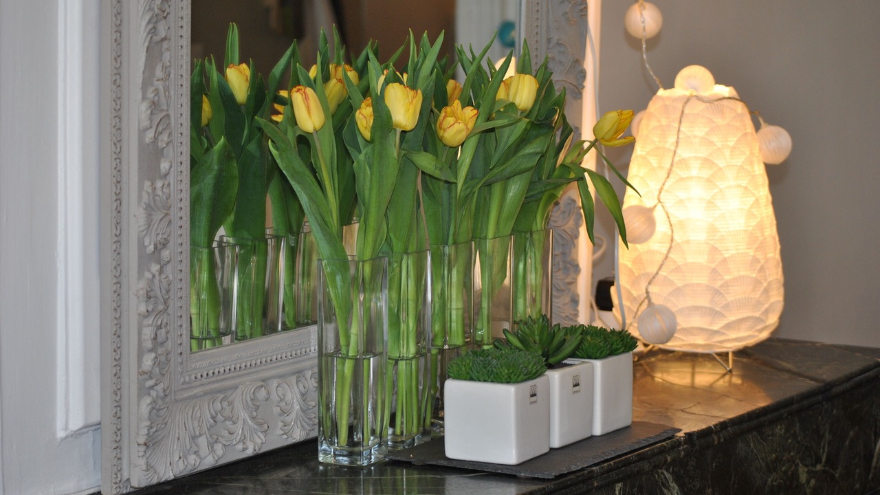 Photo of Others in Old Lyon