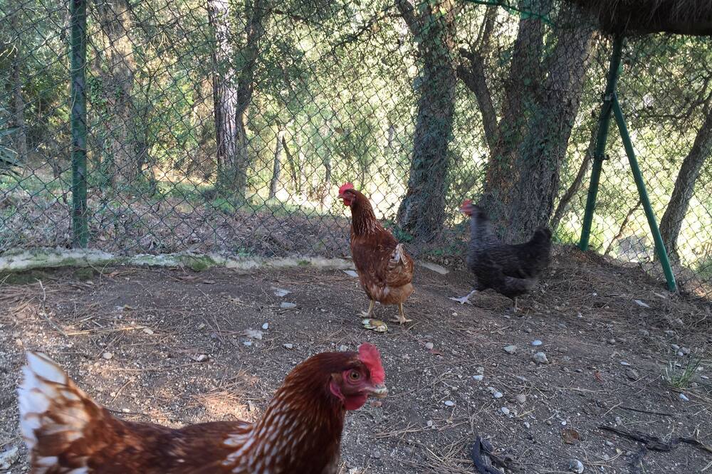 Photo of Outdoor in Sant Celoni