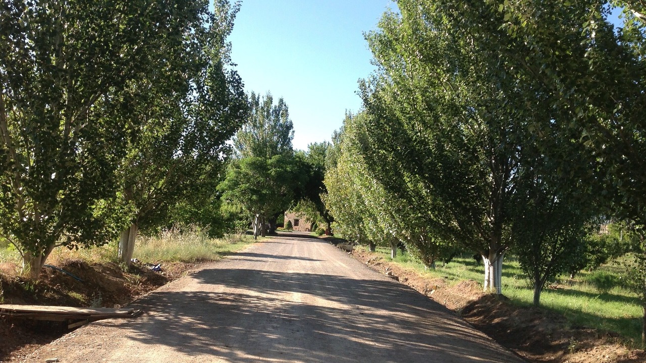 Photo of Outdoor in Logrono