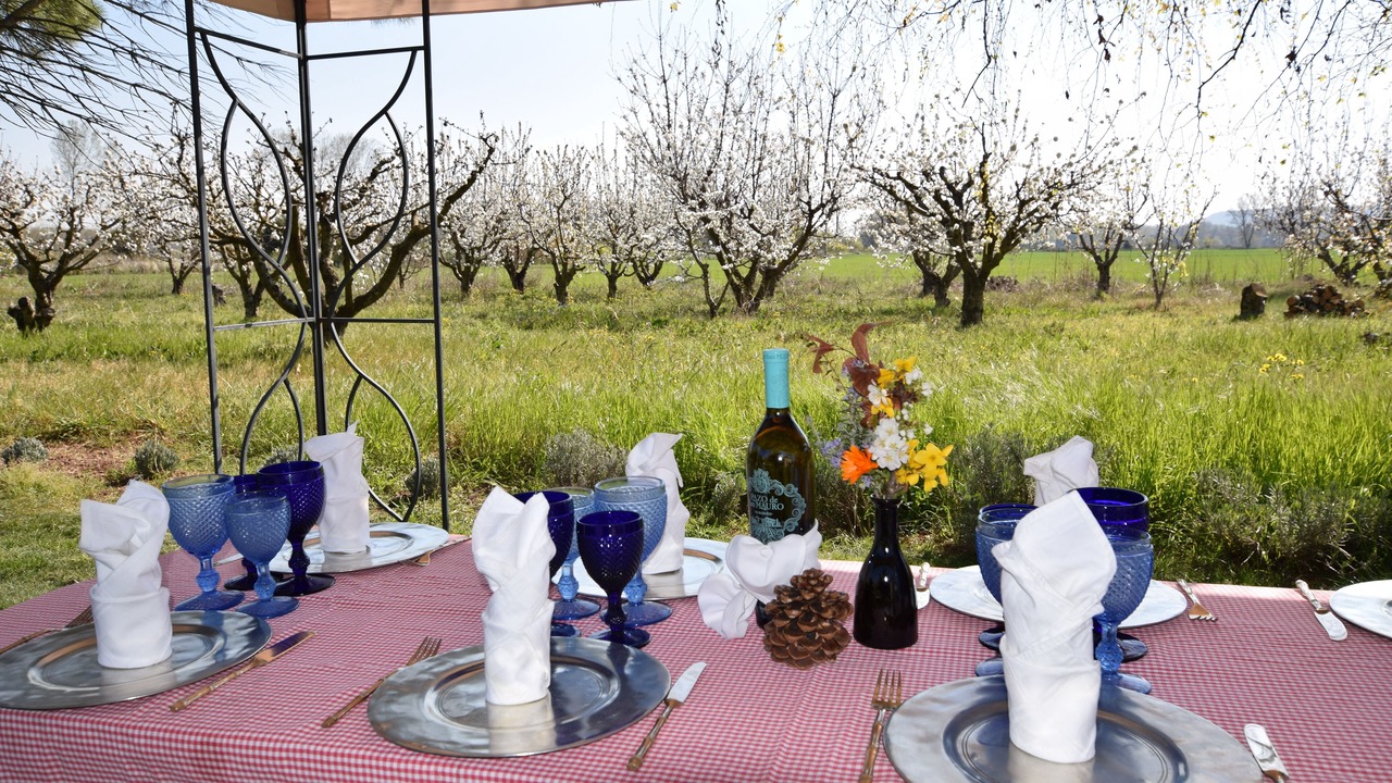 Photo of Outdoor in Logrono