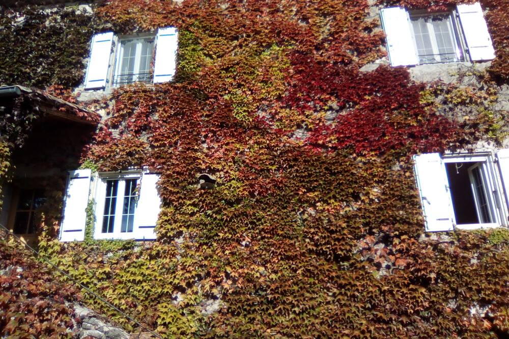 Photo of Outdoor in Rochessauve
