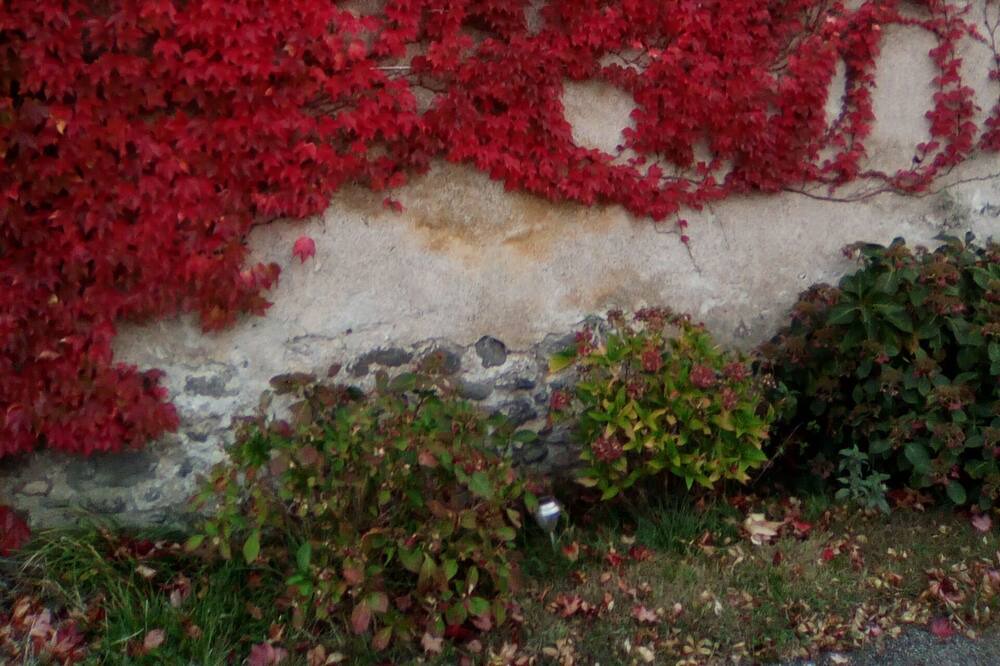 Photo of Outdoor in Rochessauve