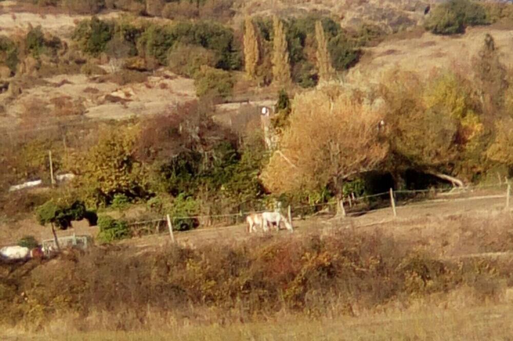 Photo of Outdoor in Rochessauve
