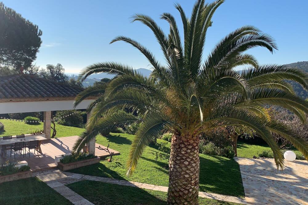 Photo of Outdoor in Calonge