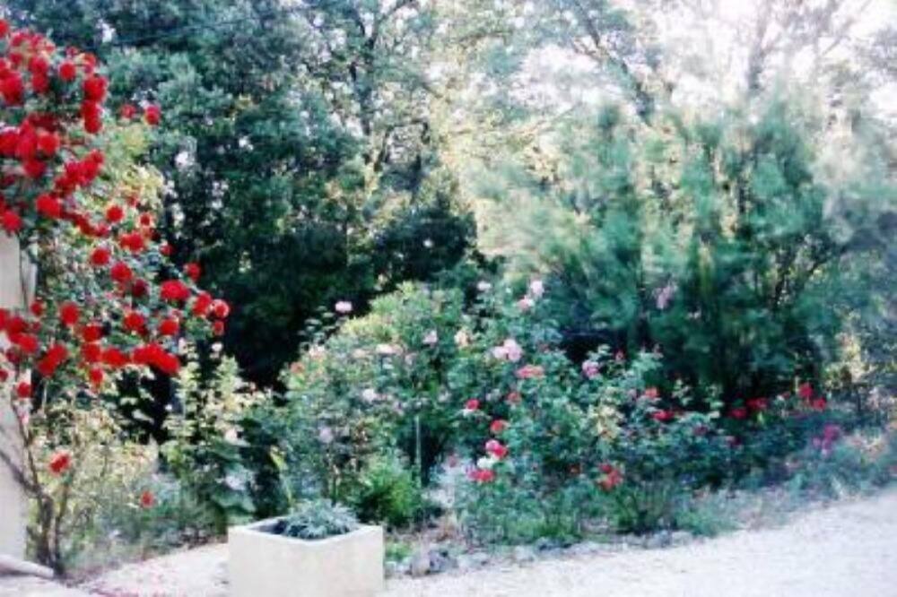 Photo of Outdoor in La Capelle-et-Masmolene