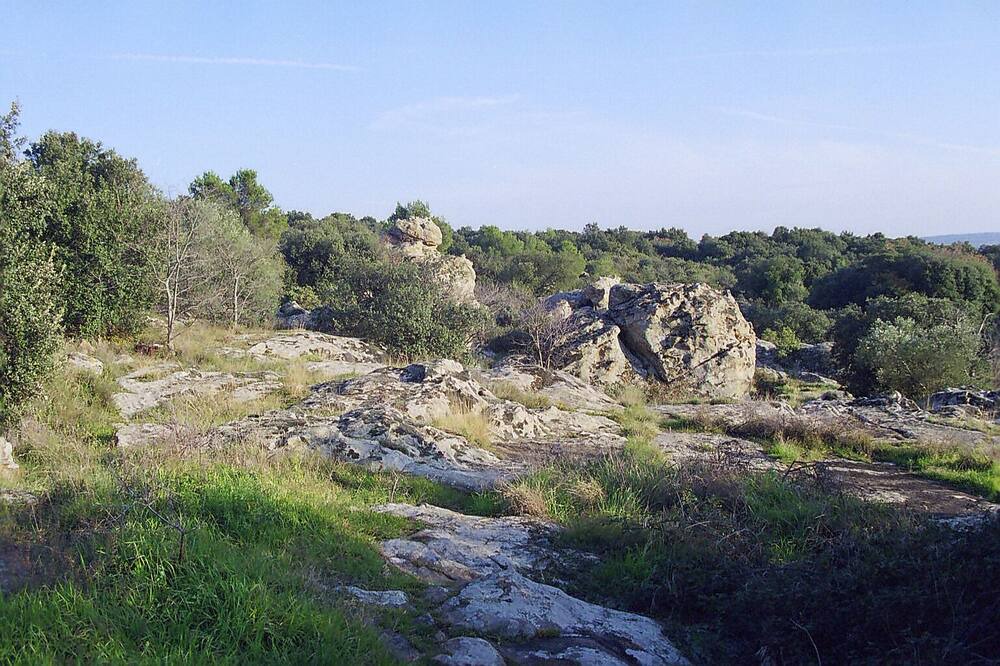 Photo of Outdoor in La Capelle-et-Masmolene