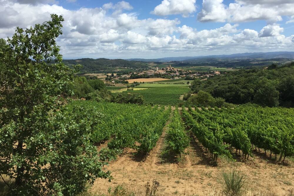 Photo of Others in Villelongue-d'Aude