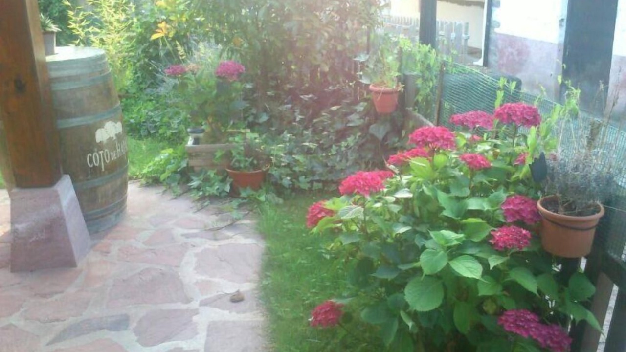 Photo of Outdoor in Oronoz