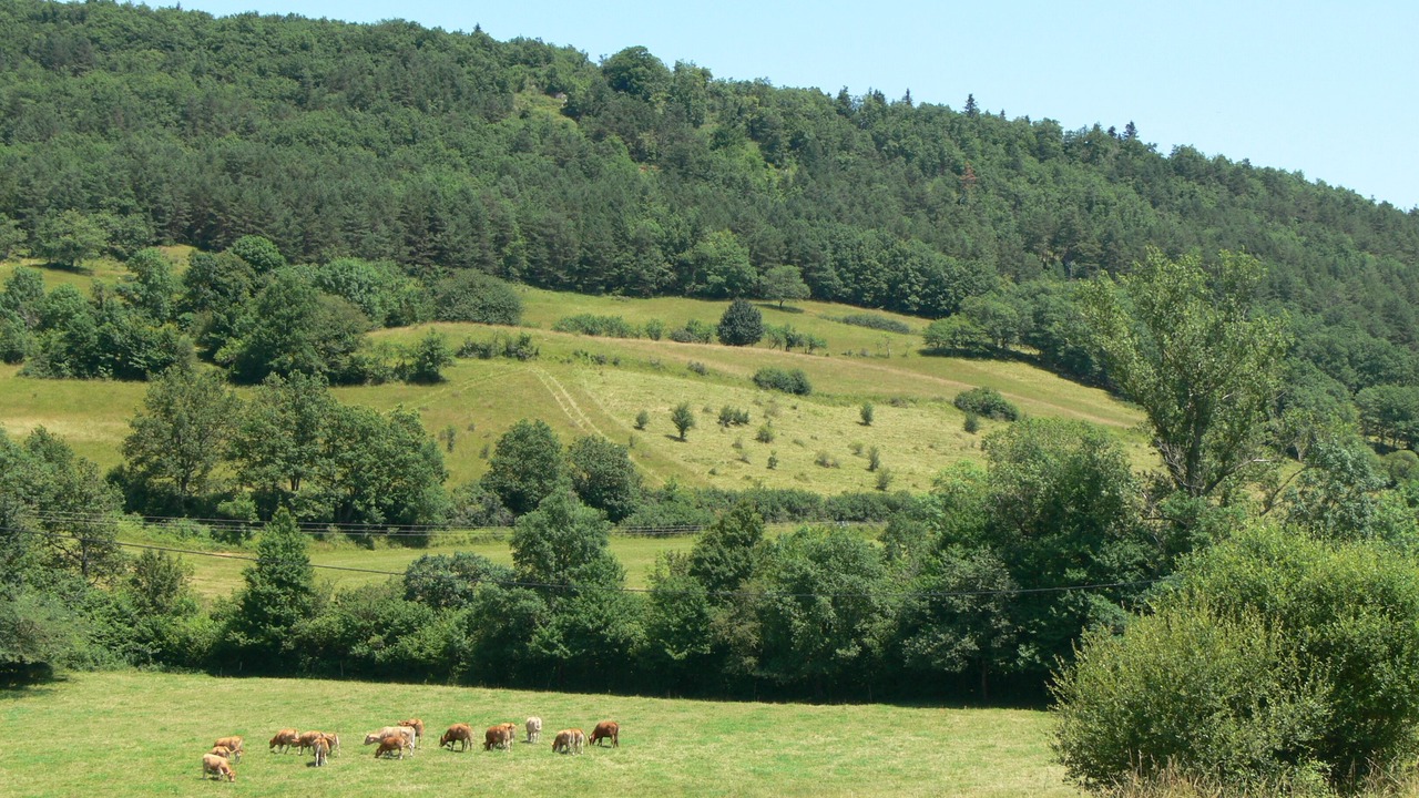 Photo of Others in Rivel