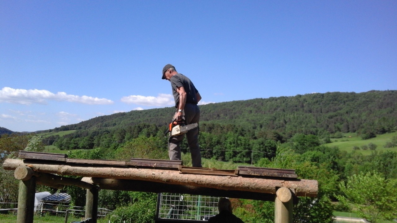 Photo of Others in Rivel