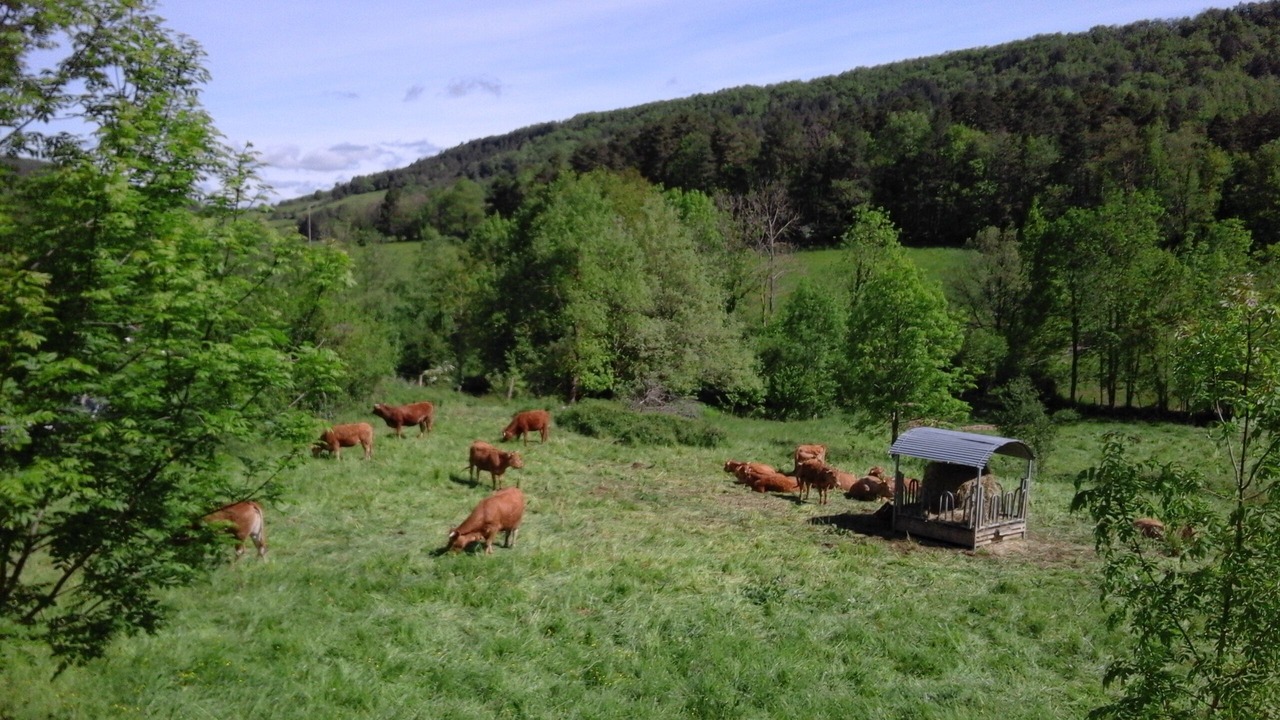 Photo of Outdoor in Rivel