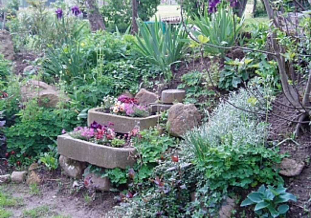 Photo of Outdoor in Rivel