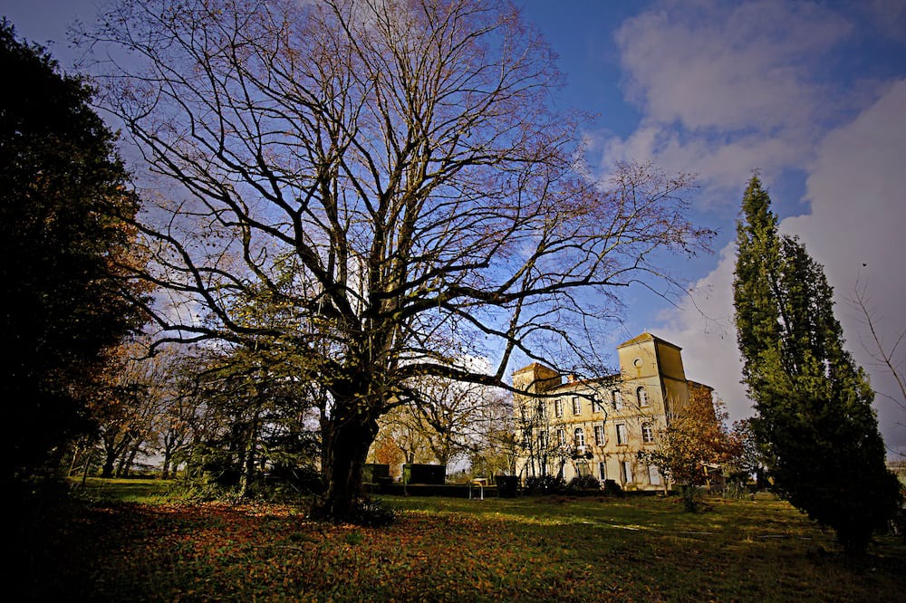Photo of Outdoor in Mouzieys-Teulet