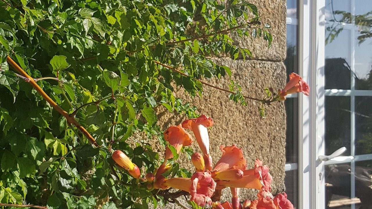 Photo of Outdoor in Vrasville