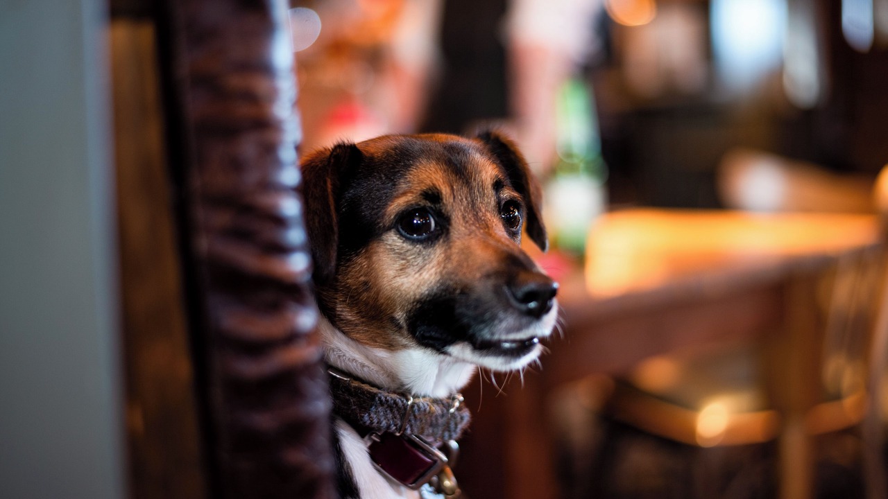 Photo of Others in Amble