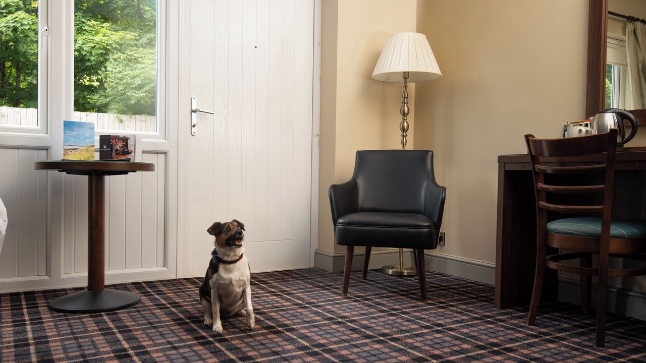 Photo of Others in Amble