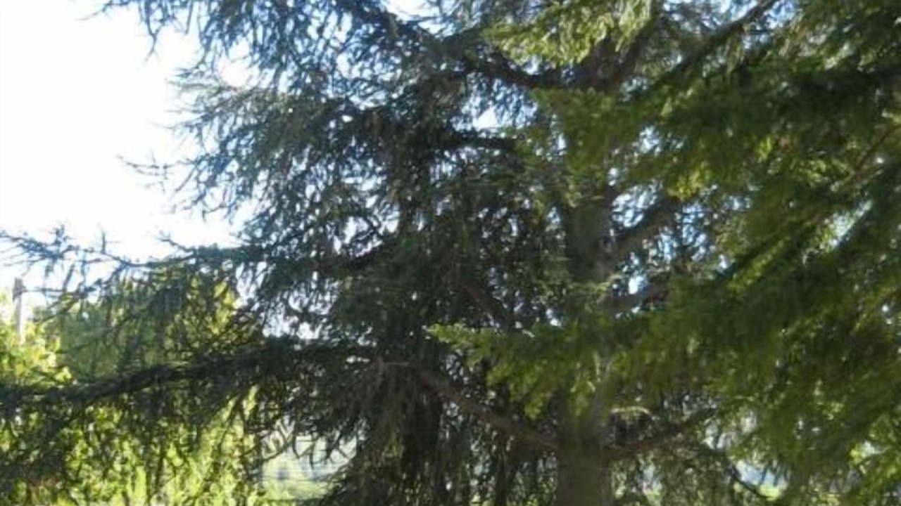 Photo of Outdoor in Dieulefit