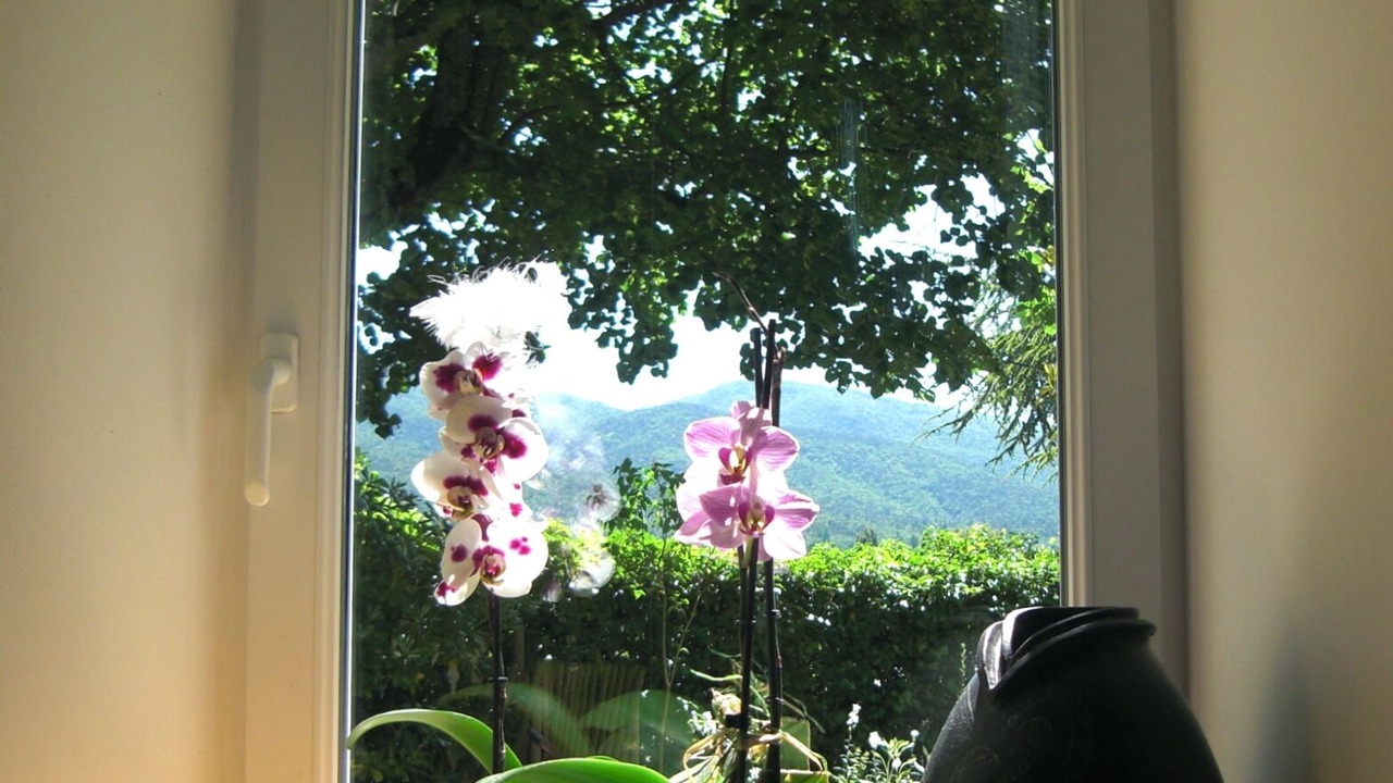 Photo of Others in Dieulefit