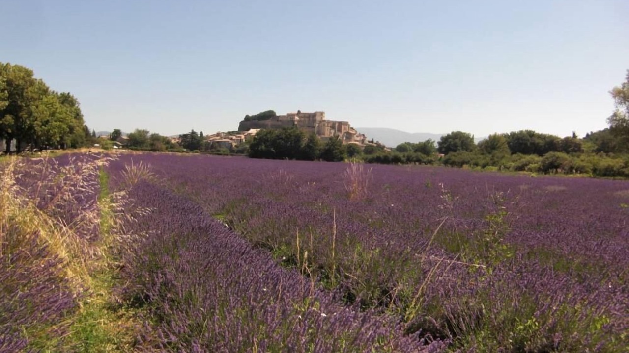 Photo of Outdoor in Dieulefit