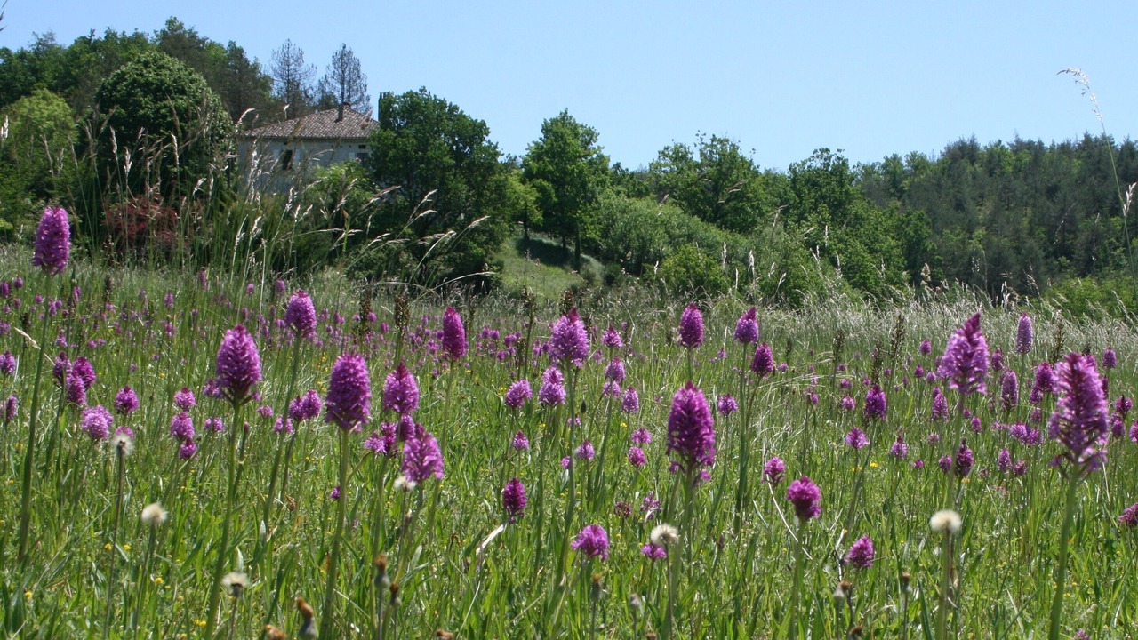 Photo of Outdoor in Cezac