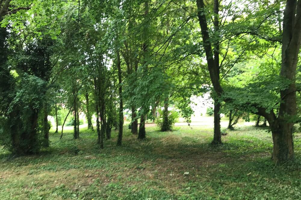 Photo of Outdoor in Miannay